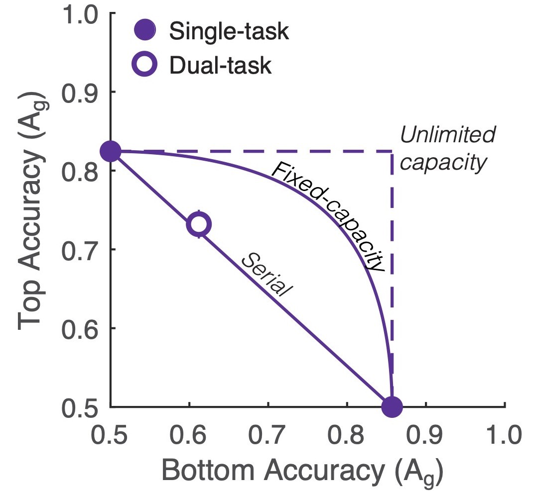 data graph