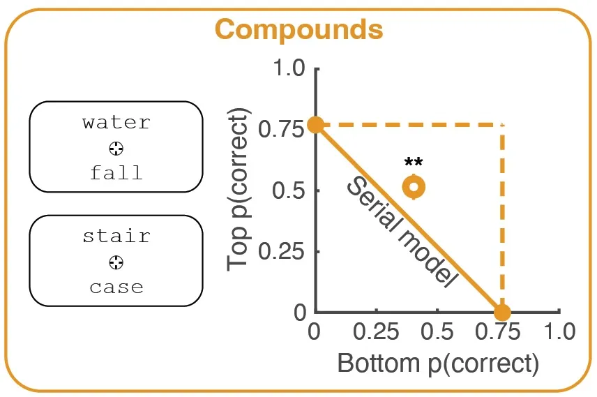 Graph showing that accuracy for judging 1 of 2 words in a pair that form a compound (like water + fall) exceeds a serial model's prediction. 