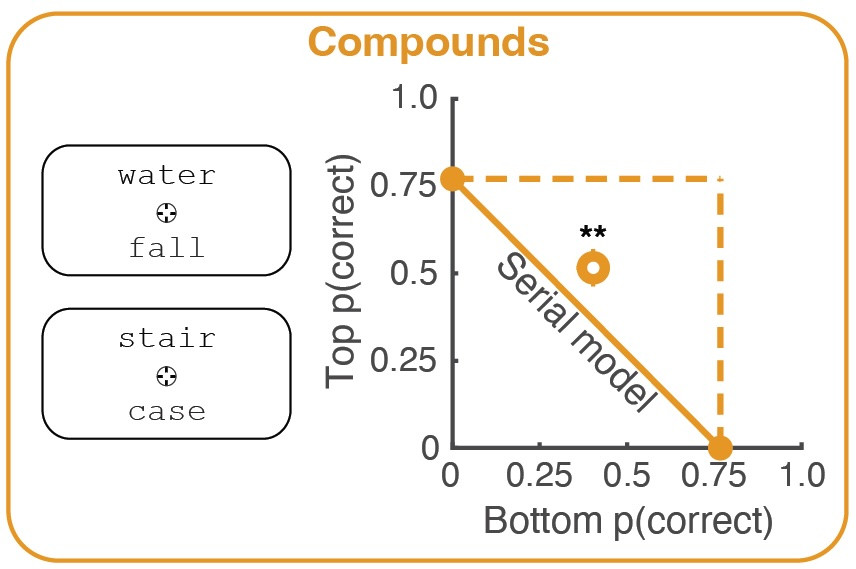 Graph showing that accuracy for judging 1 of 2 words in a pair that form a compound (like water + fall) exceeds a serial model's prediction. 